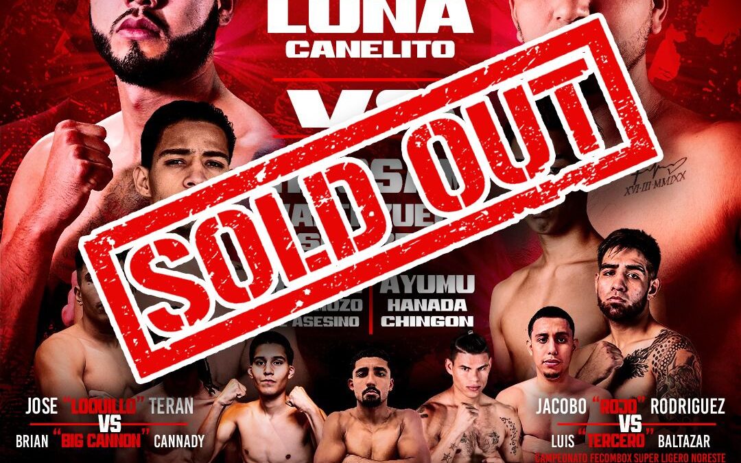 MIURA BOXING, LISTO PARA EMBESTIR